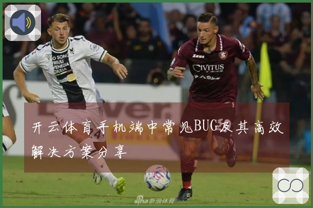 开云体育手机端中常见BUG及其高效解决方案分享