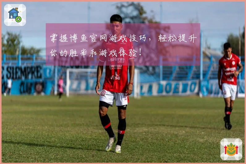 掌握博鱼官网游戏技巧，轻松提升你的胜率和游戏体验！